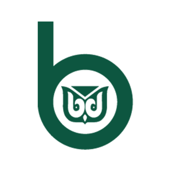 BERKLEY W R CORP logo