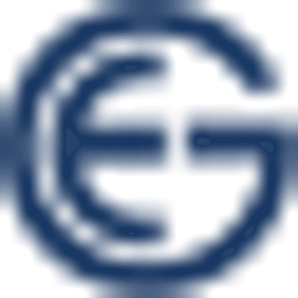 Elvictor Group, Inc. logo