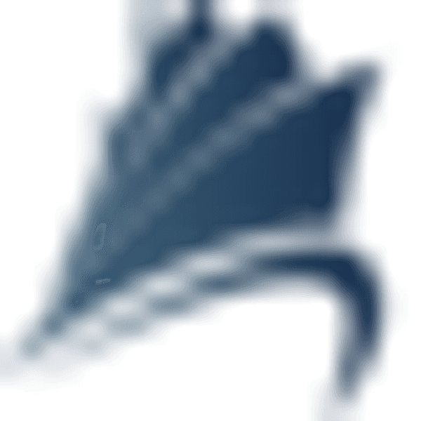 Intercont (Cayman) Ltd logo