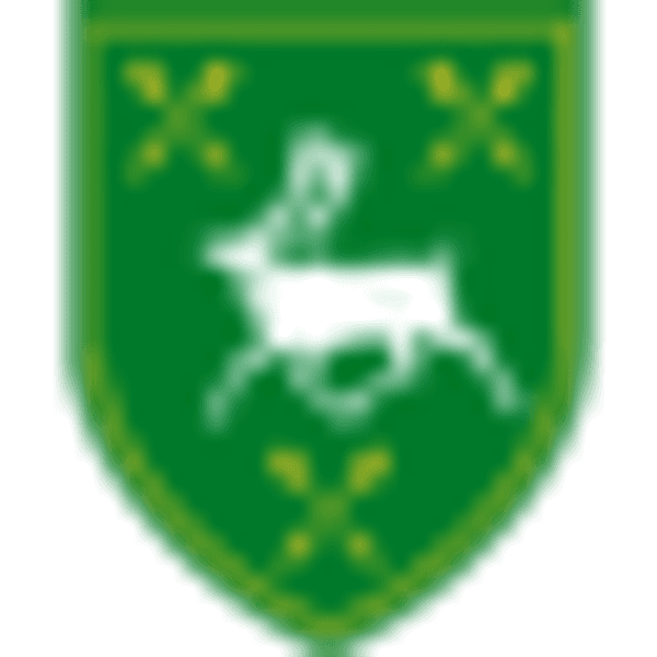 Hennessy Capital Investment Corp. VIII logo